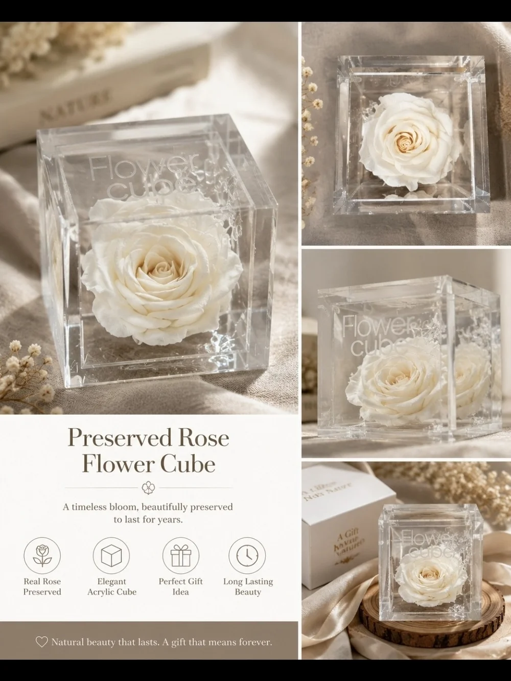 Preserved Cream Rose in Clear Acrylic Cube - Floral Keepsake